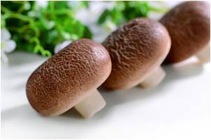 叉燒蘑菇包